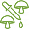 icon_icon02 icon_icon02